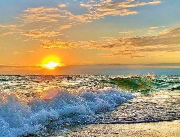 panama-beach-city the tidewater beach resort (19)