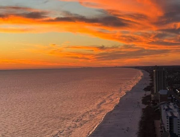 Photo Mar 23 2025, 5 21 23 PM (1)