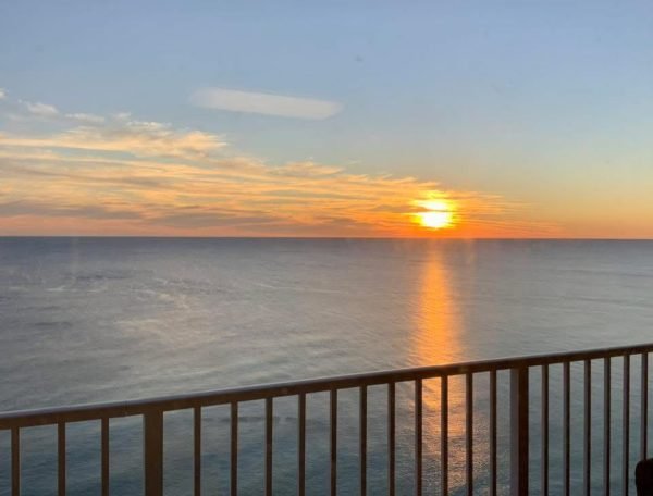 Photo Mar 23 2025, 5 21 23 PM (3) (1)