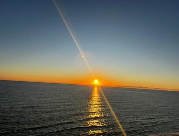 Photo Mar 23 2025, 5 21 23 PM (5)