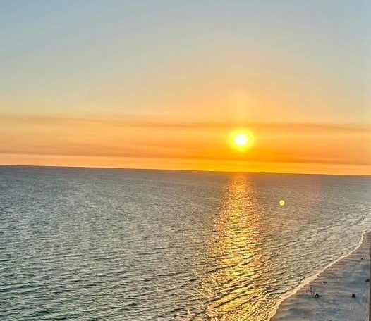 Photo Mar 23 2025, 5 21 23 PM (6)